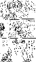 junk29.gif