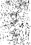 junk31.gif
