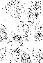 sqq264.gif