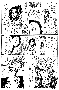 sqq260.gif