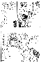 sqq261.gif