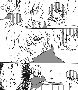 sqq269.gif