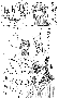 sqq273.gif