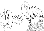 sqq274.gif