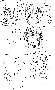 sqq276.gif