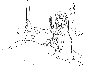 sqq277.gif