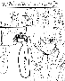 sqq346.gif