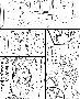 sqq354.gif