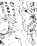 sqq356.gif