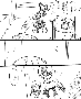 sqq358.gif