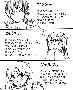 sqq365.gif