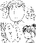 sqq371.gif