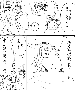 sqq386.gif