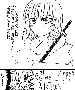 sqq396.gif