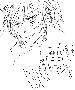 sqq402.gif