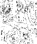 sqq403.gif