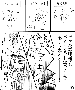 sqq404.gif
