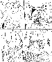 sqq405.gif