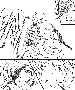 sqq406.gif