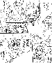sqq407.gif