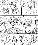 sqq413.gif