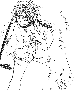 sqq418.gif