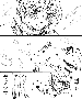 sqq419.gif