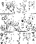 sqq421.gif