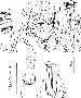 sqq428.gif