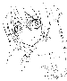 sqq435.gif