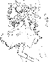 sqq436.gif