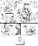 sqq440.gif