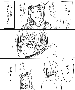 sqq451.gif