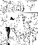 sqq458.gif