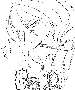 sqq472.gif