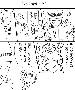 sqq488.gif