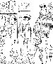 sqq497.gif