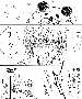sqq498.gif