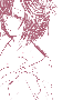 sqq503.gif