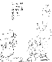 sqq504.gif