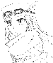 sqq511.gif