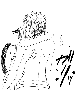 sqq520.gif