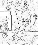 sqq521.gif