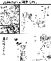 sqq525.gif