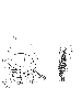 sqq526.gif