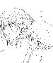 sqq527.gif