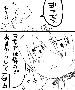 sqq531.gif