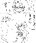 sqq536.gif