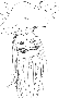 sqq542.gif