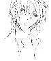 sqq551.gif